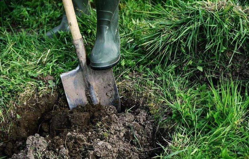 Фото из свободных источников