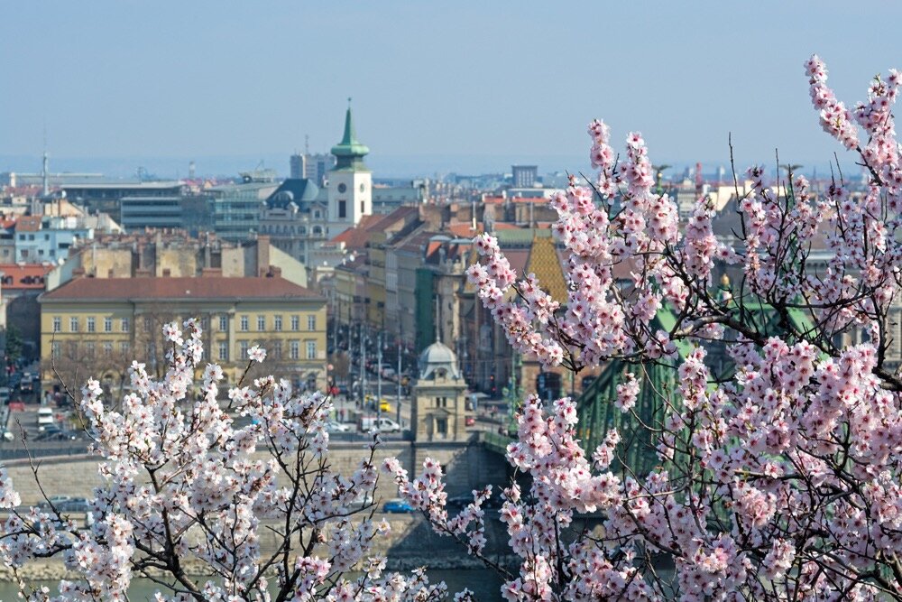 Европа весной фото