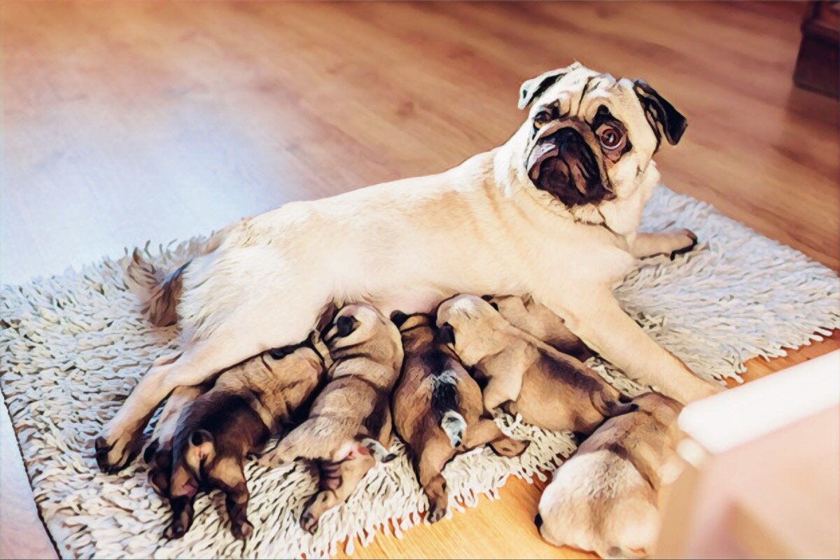 Фото: freepik.com