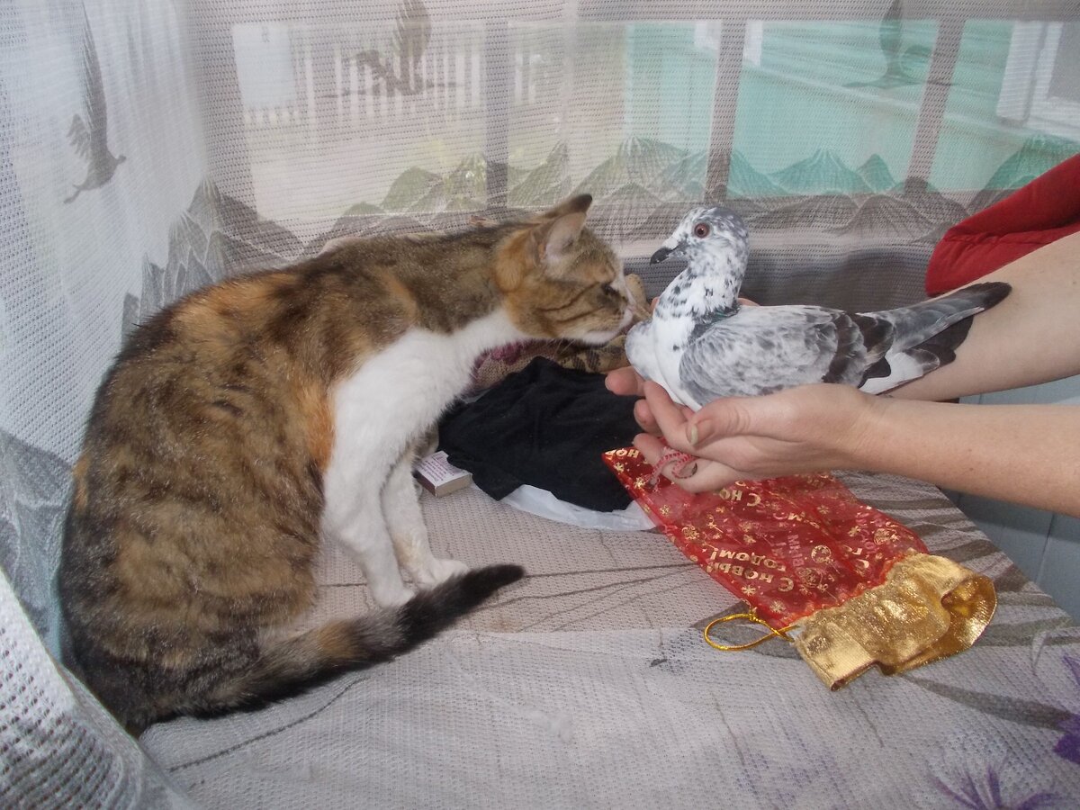 первое знакомство