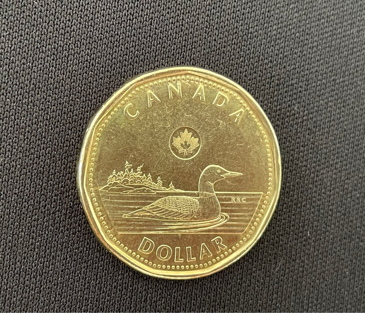 Loonie – один канадский доллар. Фото автора. 