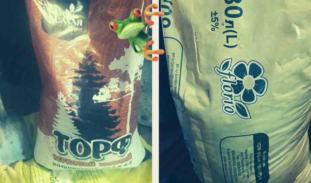 Почва для рассады