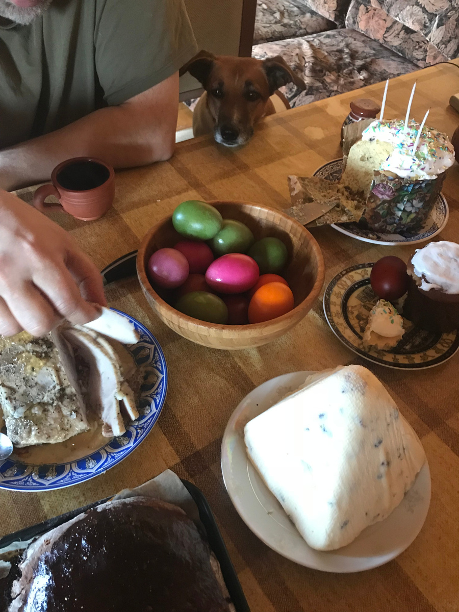 Наша Маруся как Кашпировский: собака голодная, дай собаке еды