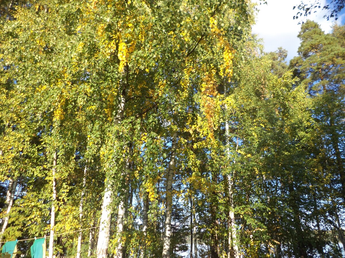 Забайкалье