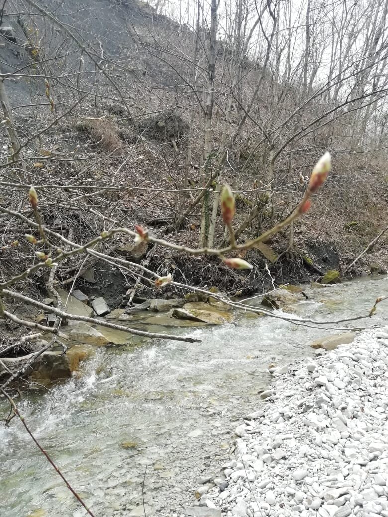 Поехали смотреть водопад и не нашли его | Не сиди дома | Дзен