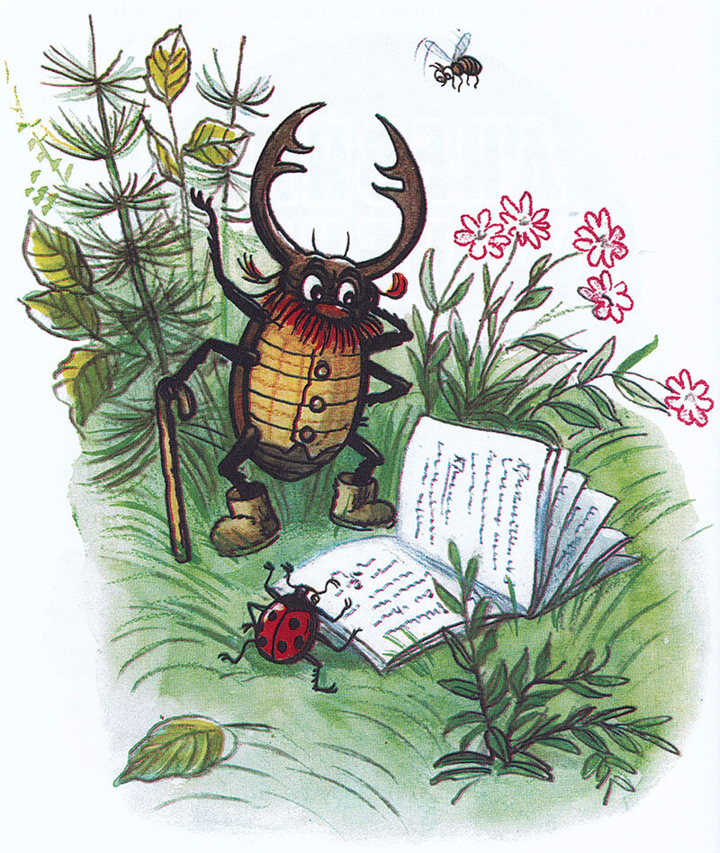 Яндекс картинки