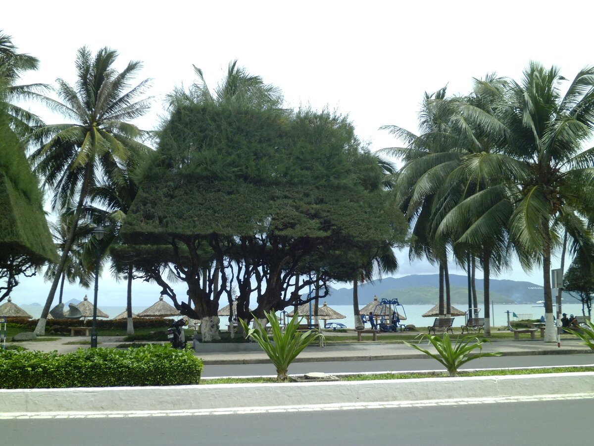 Улица вдоль моря.