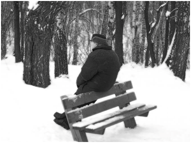 (Яндекс.Картинки)