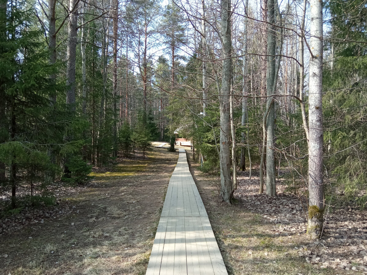 Здесь и далее фото автора