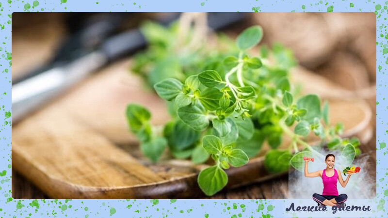 Трава для похудения бардакош (майоран)