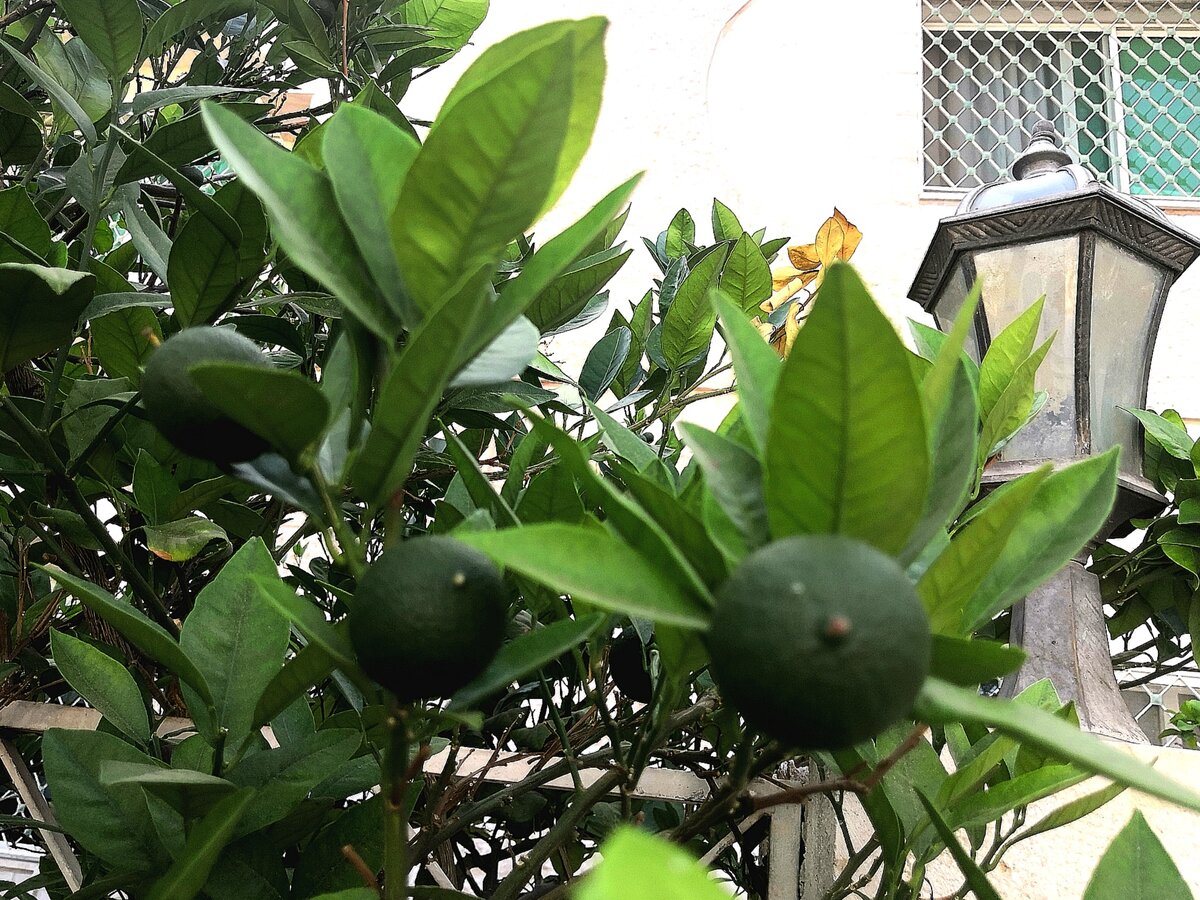 Все фото статьи авторские