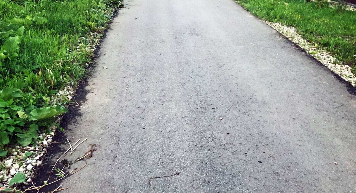 Фото автора. такое соседство огороду не нужно