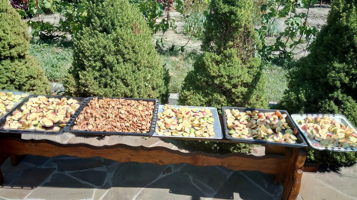 Электрическая сушилка не справляется, да и не конкурент она южному солнцу