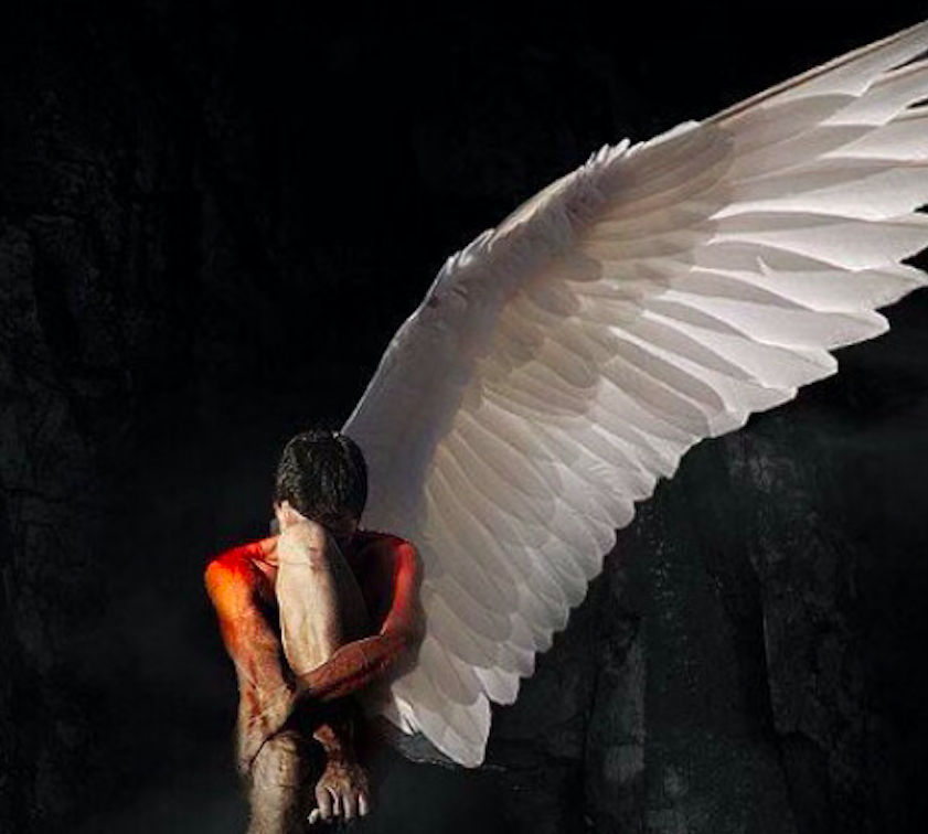 Ангел там. Ангел с одним крылом. Ангел с подбитым крылом. Птица с одним крылом. Падший ангел с одним крылом.