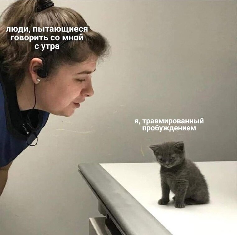 Старшая дочь говорит, что этот котенок - это буквально она каждое утро :)