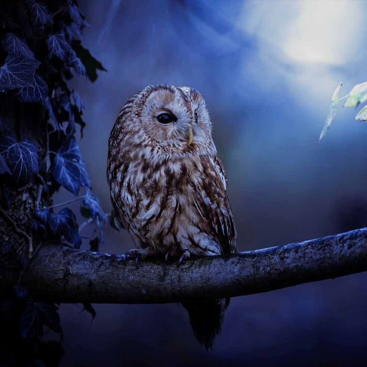 Мне и одному хорошо