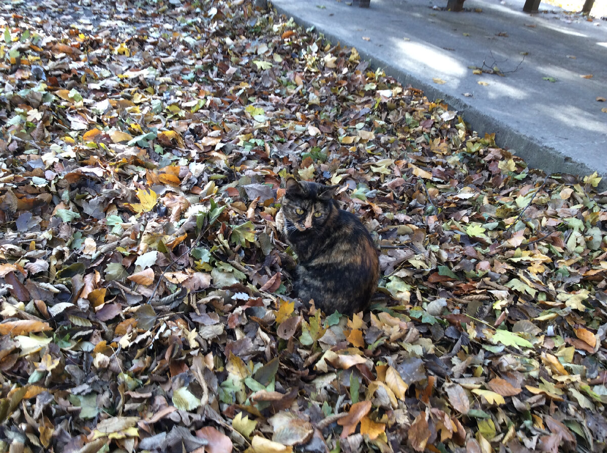 Фото сделано на Святом источнике Святая рука, Россия, Краснодарский край, городской округ Новороссийск в 2016 г., RuNa