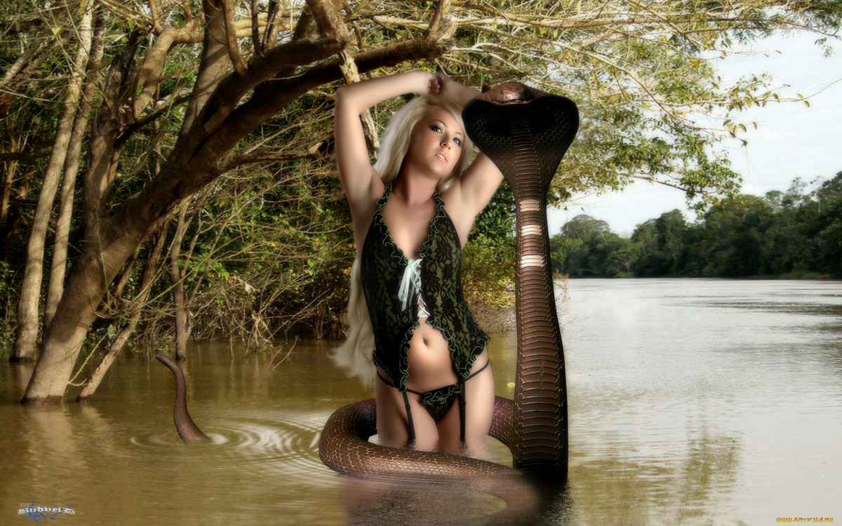 из открытых источников.