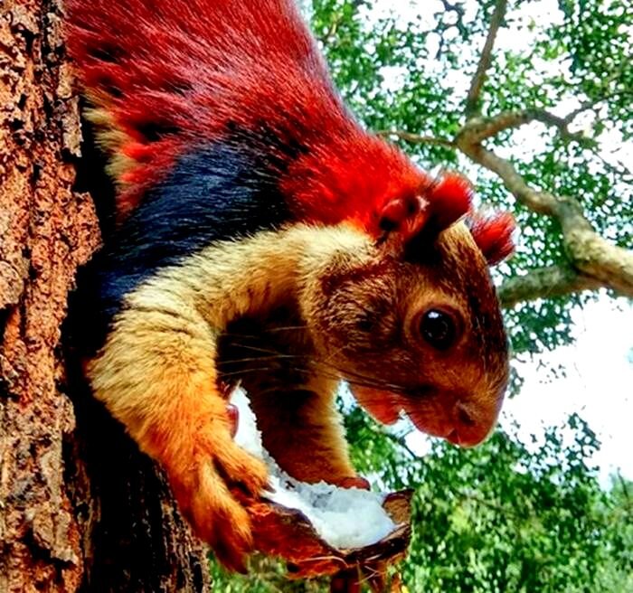 Источник фото: fb.ru