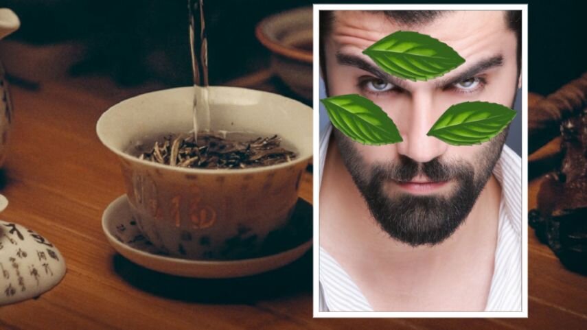 Пропитки получается достаточно, чтобы ее не жалеть, и нанести патчи всюду, куда и кому хочется // коллаж автора, фото pixabay.com