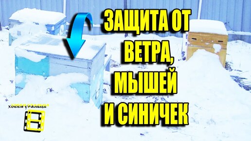 ЗАЩИТА УЛЬЕВ ОТ ВЕТРА, СИНИЧЕК И МЫШЕЙ. ПЕРЕСТАНОВКА УЛЬЕВ НА ПАСЕКЕ ДЛЯ НАЧИНАЮЩИХ ПЧЕЛОВОДОВ 40-21