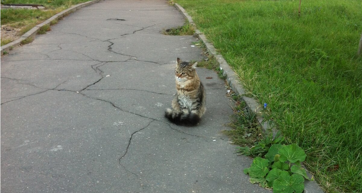 Фото автора