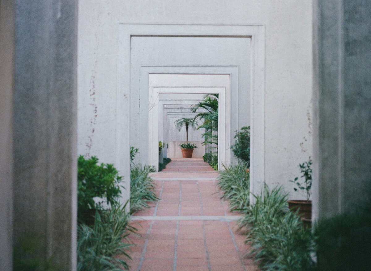 Безумие – страшно, но иногда это единственный способ спастись от реальности. Photo by Anabela De Sousa on Unsplash