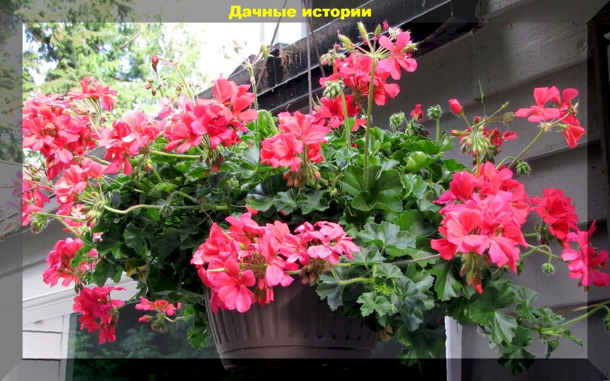 https://vk.com/photo-159774511_457250589