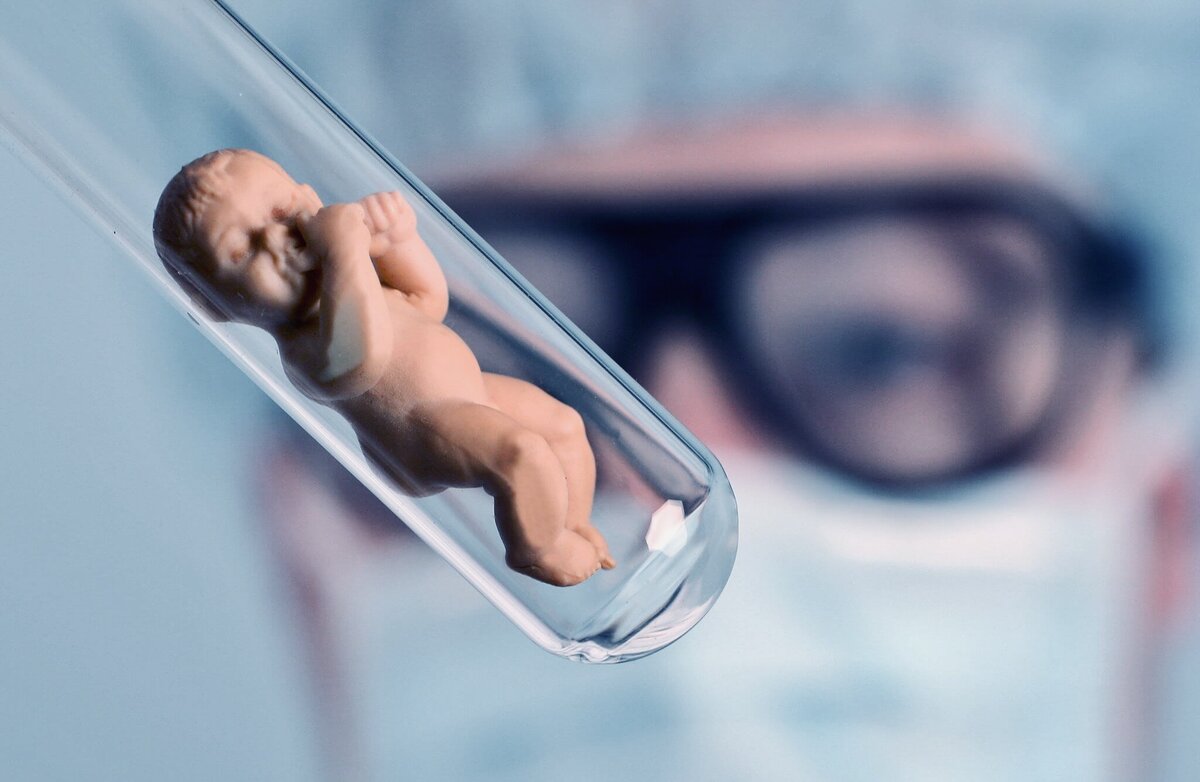 Фото из https://hi-news.ru/wp-content/uploads/2020/03/in_vitro3.jpg