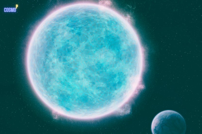 Внешний облик Ригель в представлении художника