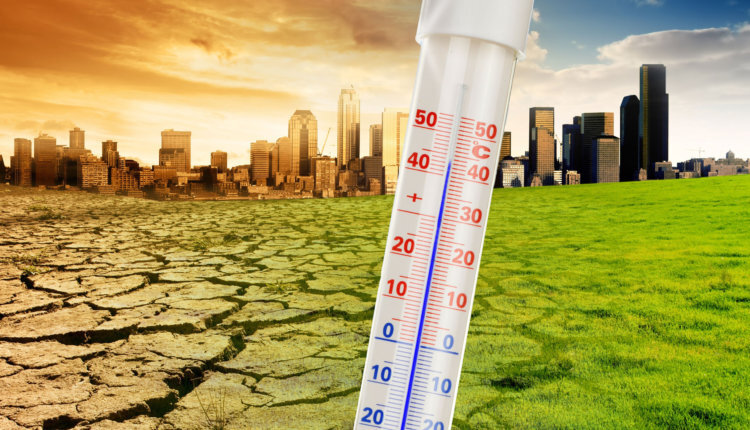 Фото: EAST NEWS / коллаж: L!FE