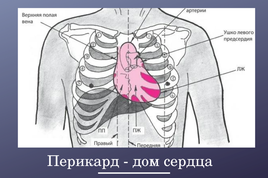 Боль в грудной клетке посередине: возможные причины, лечение