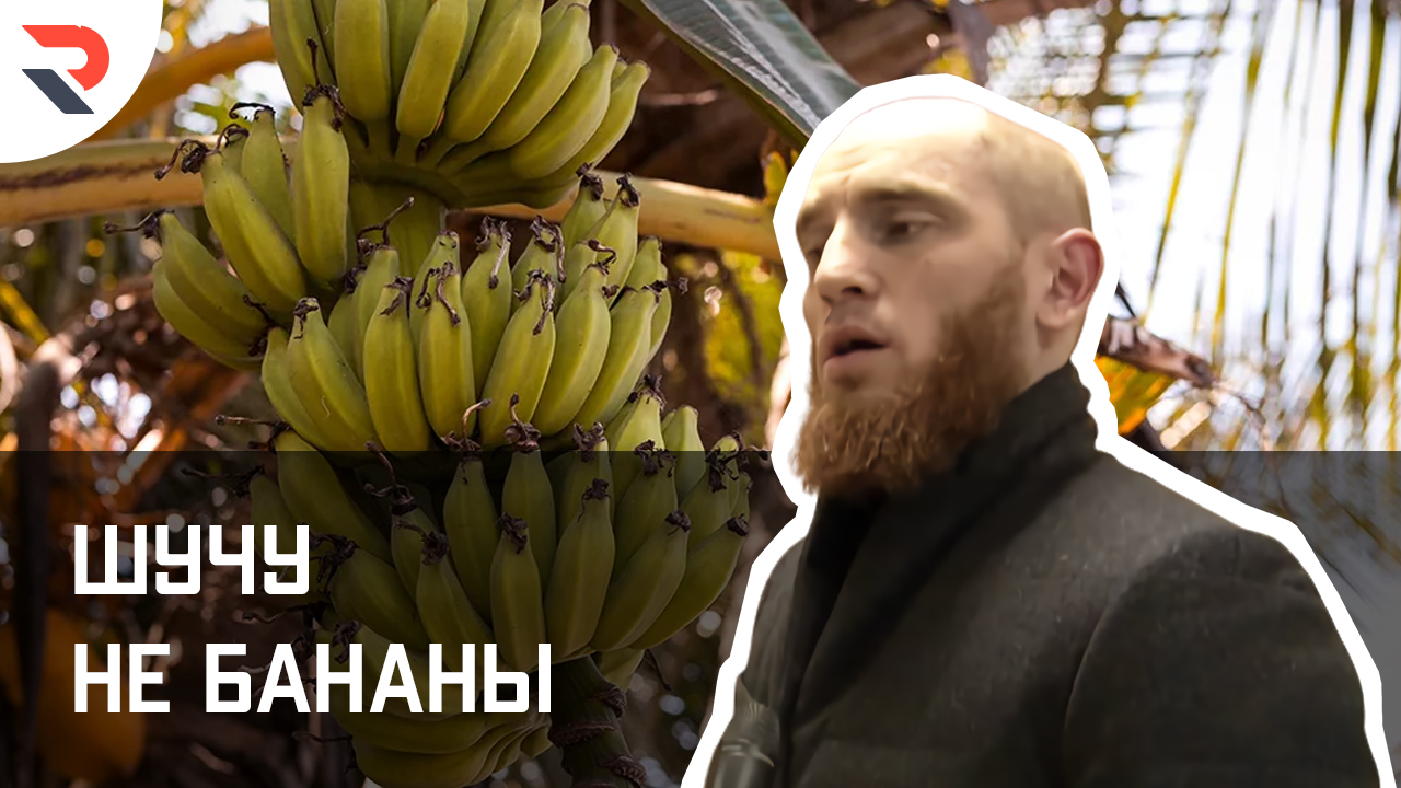 Торгую людьми бананами шучу. Бананы людей шучу не бананы. Бананы людей шучу не бананы. Продаю бананы людей. Продаю бананы людей.