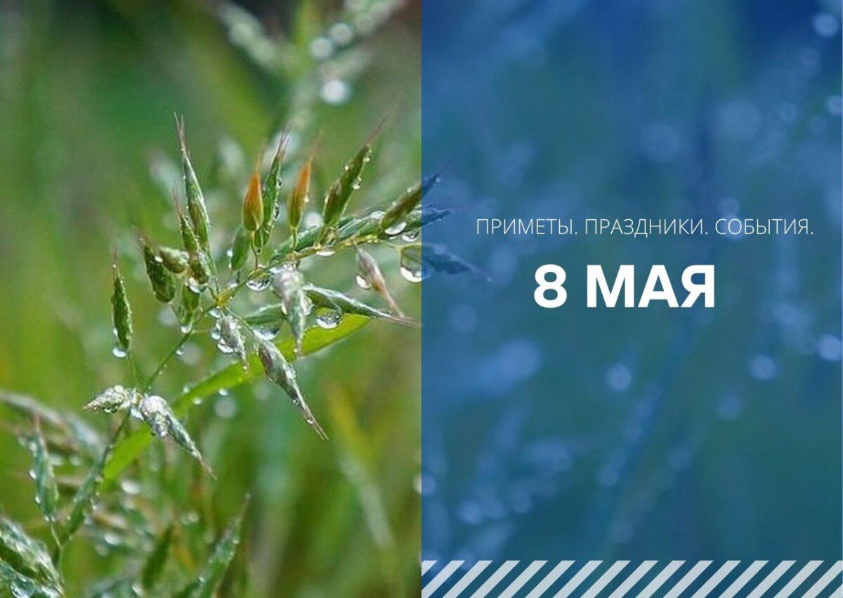   pixabay. com