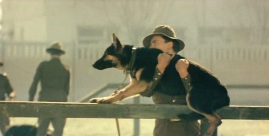 Брут из фильма "Пограничный пес Алый"