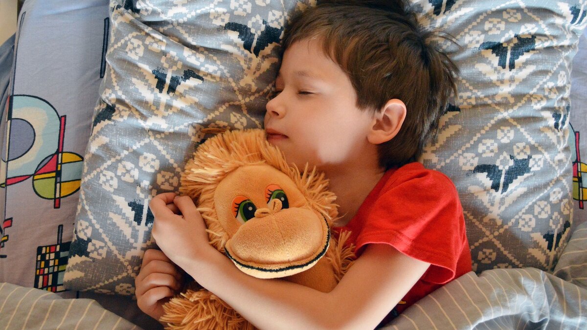 Можно детей будить. Сон школьника. Дети болеют на каникулах. Дети спят под одеялом с игрушкой. Сонское сон школа.