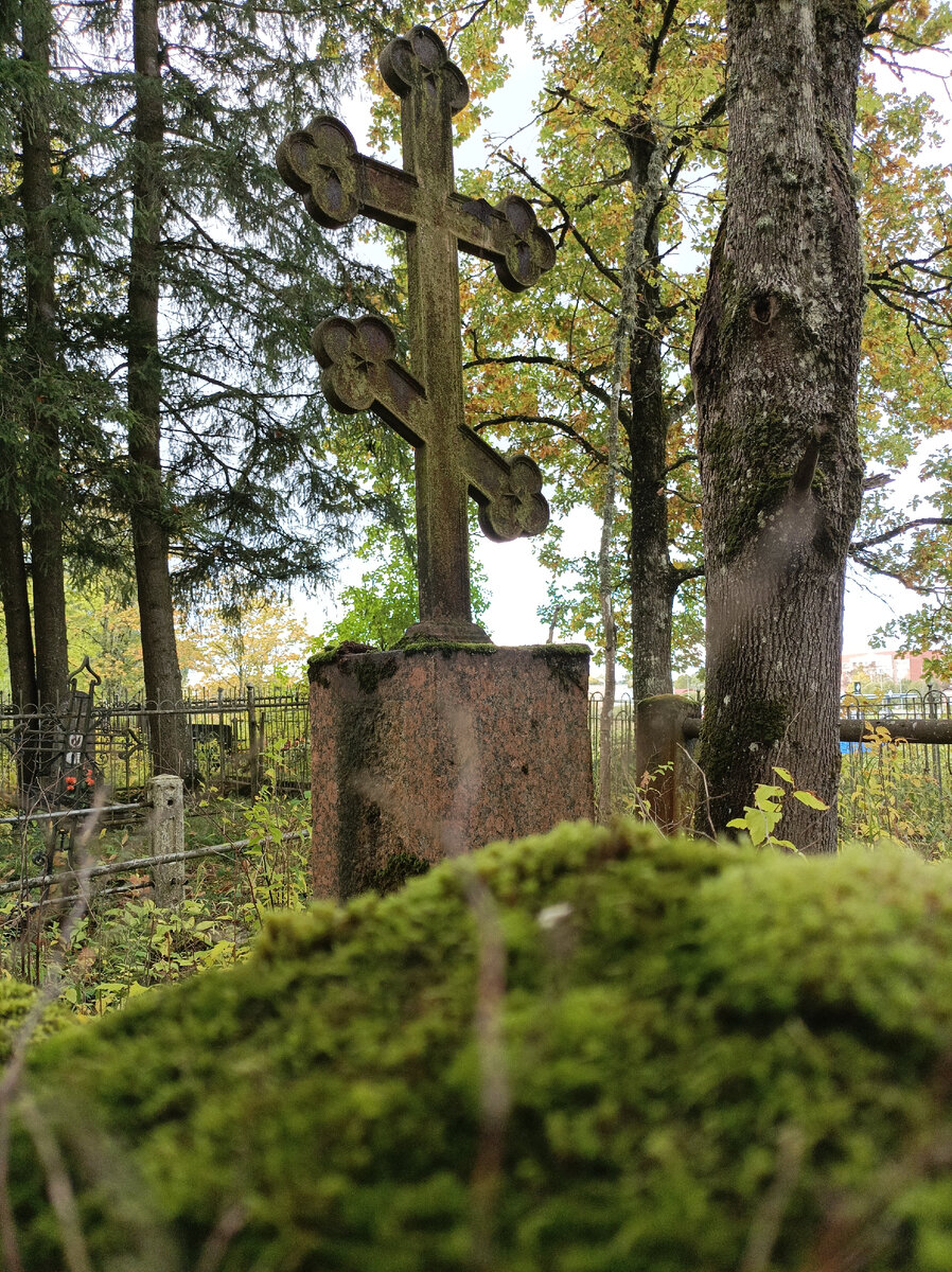 Мох на кладбище 