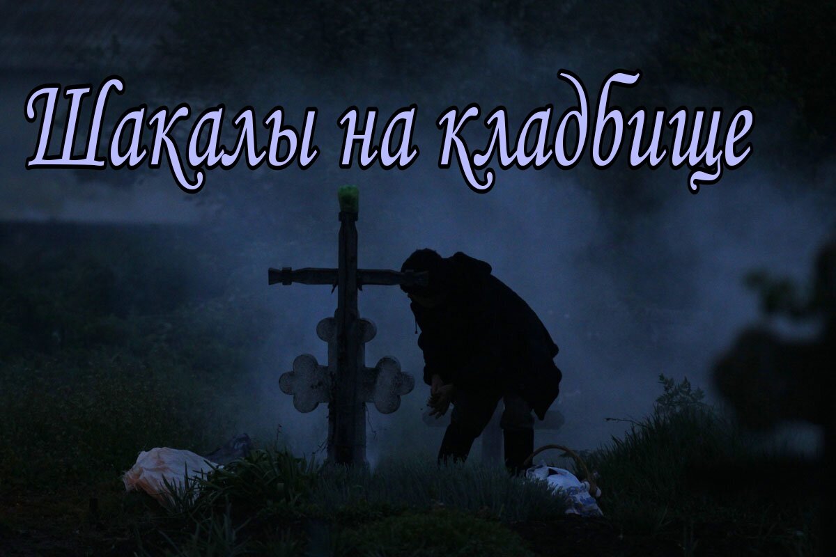 Картинка из интернета 