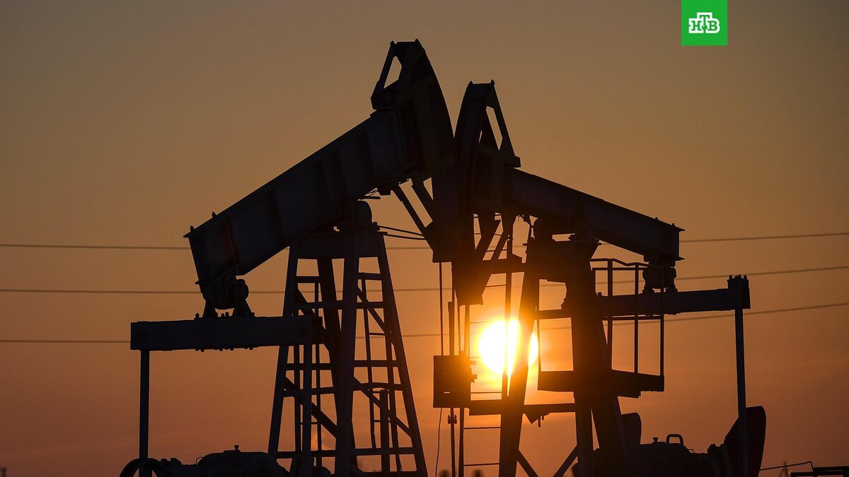    Фото: РИА Новости © 2022, Максим Богодвид