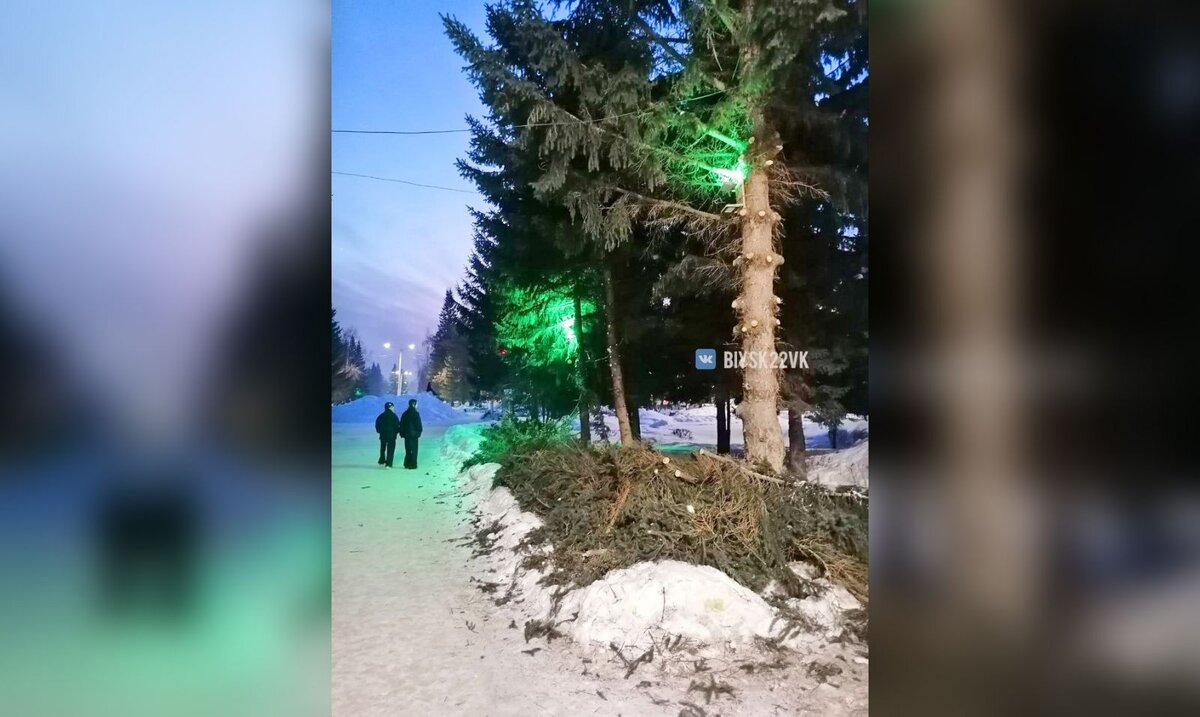 Фото: «Бийск 22»
