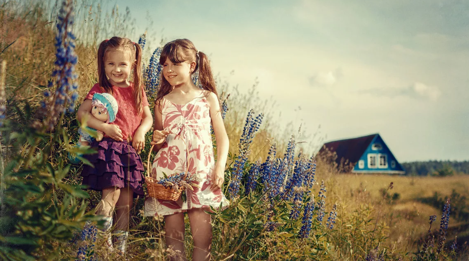 Картинка из открытого доступа