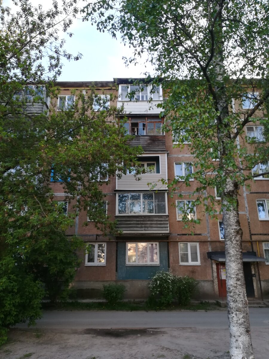 ОБРАТИТЕ ВНИМАНИЕ на фото и НАЙДИТЕ собаку