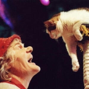 Источник:Яндекс картинки