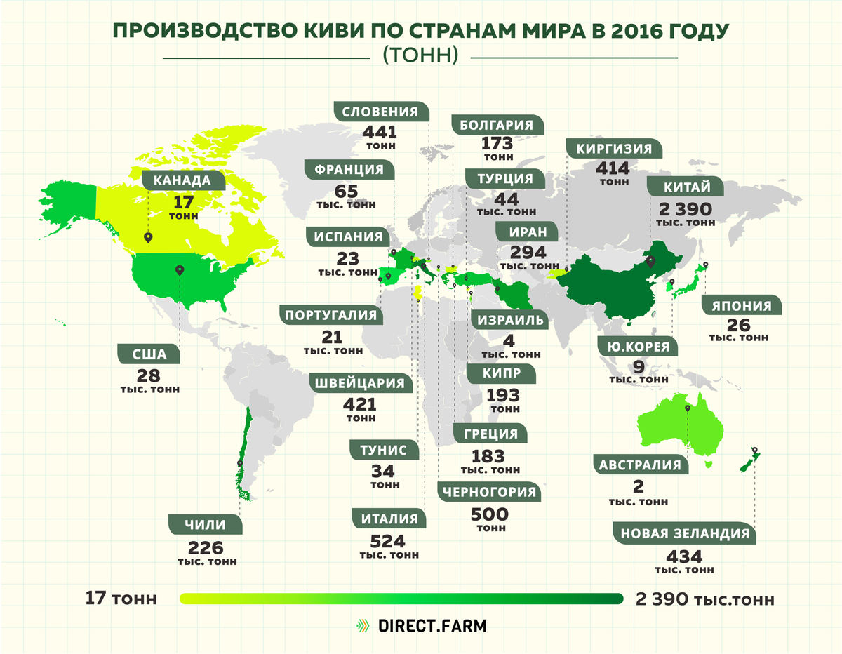 Индия является мировым лидером по производству. Страны производители киви. Страны Лидеры по производству плодовые. Карта выращивания киви. Страны Лидеры по выращиванию овощей и фруктов.