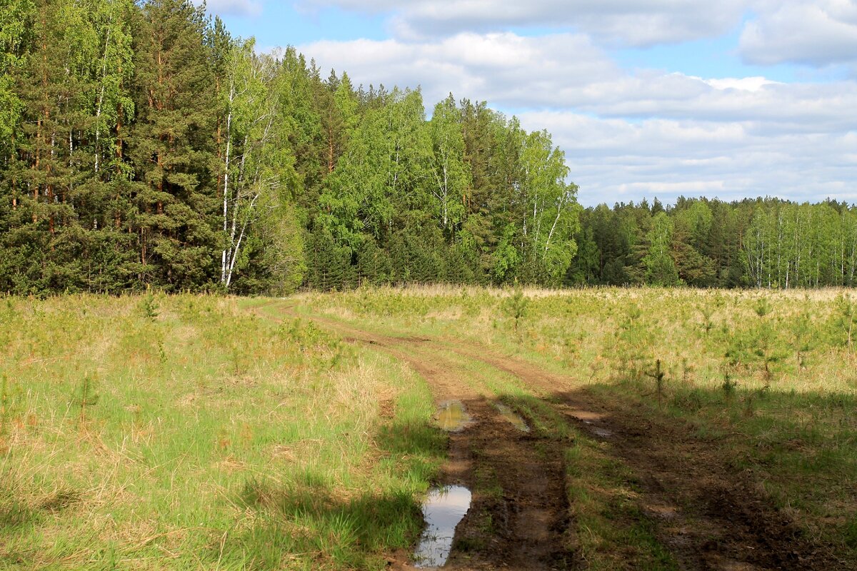 Дорога к Шайдуровскому руднику со стороны Кадниково