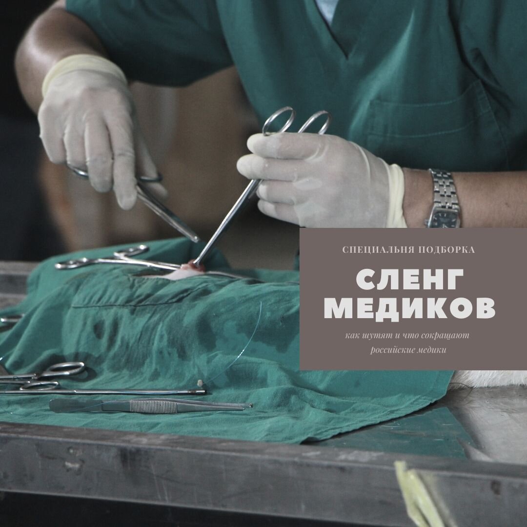 Мария Штейн
