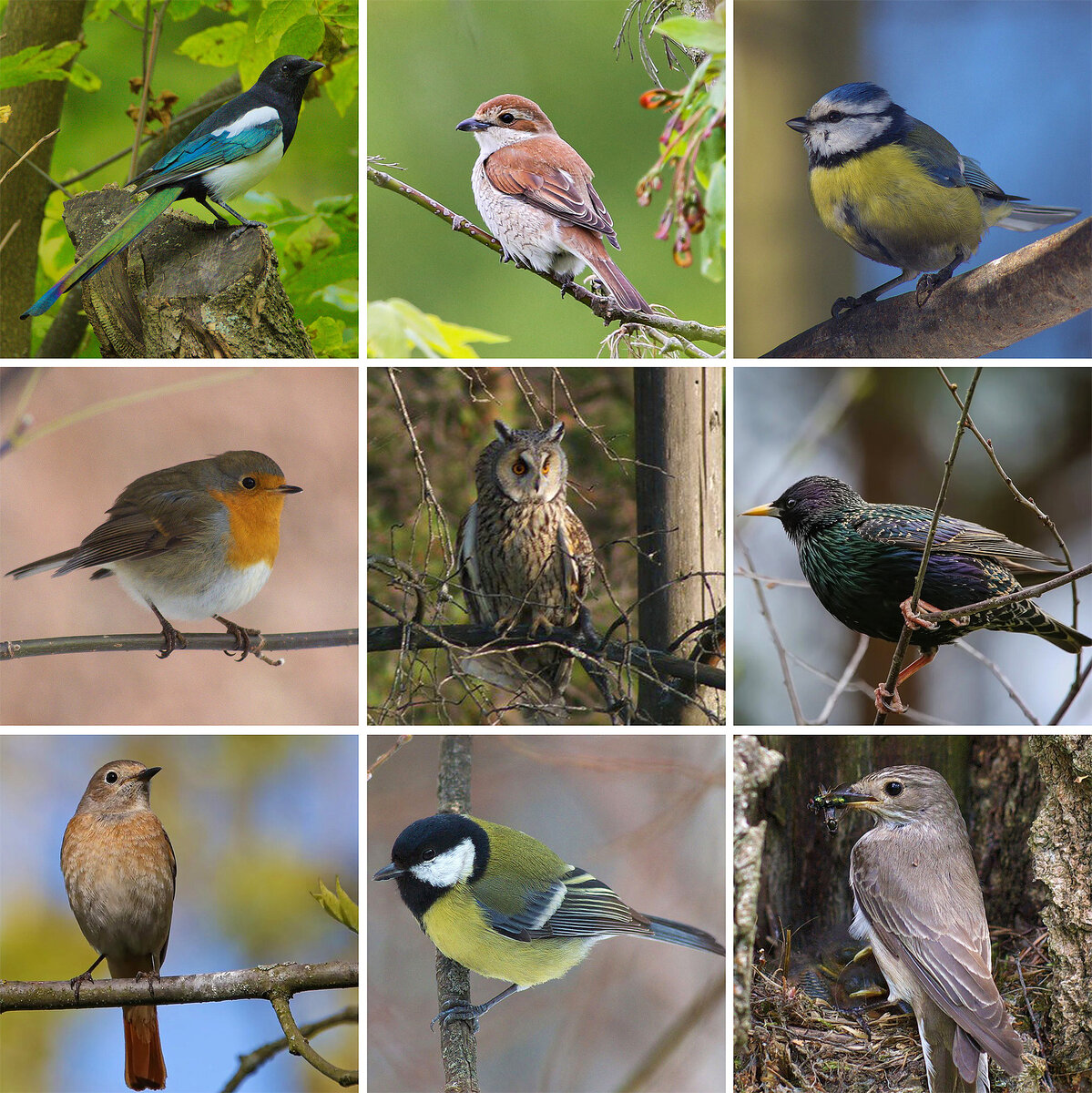 Фото: Анна Дмитриева и Владимир Мельников.