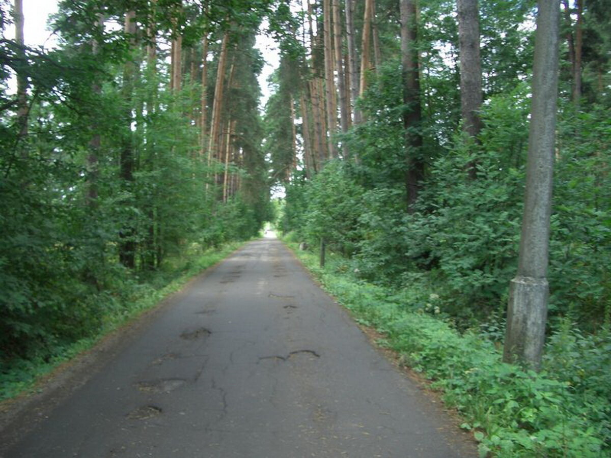 переделкино ул лазенки 6. лазенки 6-я ул. лазенки 42с8. переделкино, москва, 6-я улица лазенки. большой лазенковский пруд в переделкино.