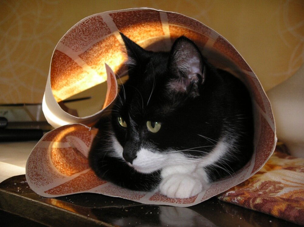 Мой Кузьма в самом расцвете сил