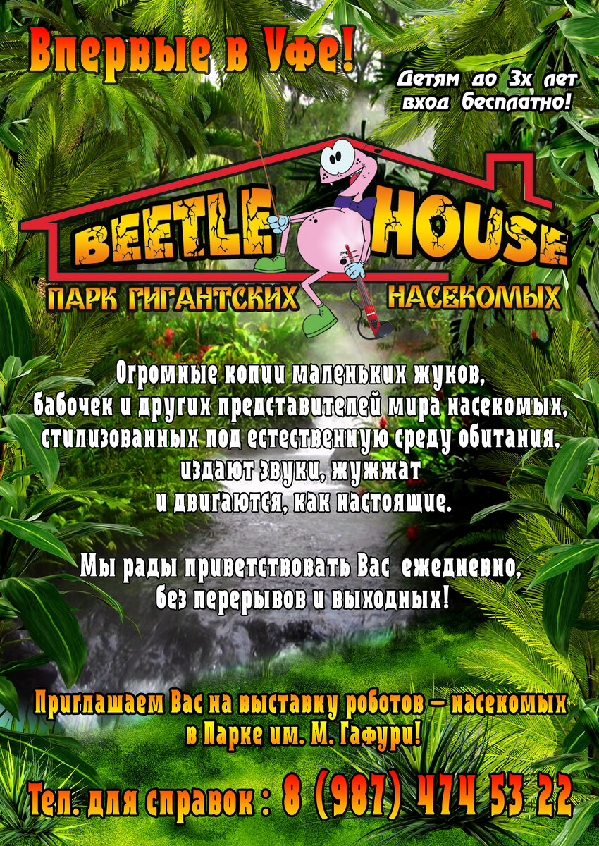 Впервые в Уфе Парк гигантских насекомых «Beetle House» | Beetle House | Дзен